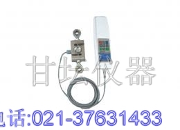 300kg多功能測力計(jì),三百公斤數(shù)顯測力計(jì)企業(yè)